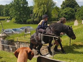 Horse riding in Alvediston