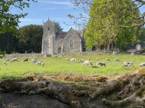 Saint Mary's Alvediston
