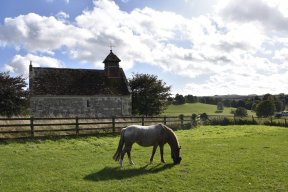 Saint Martin's Fifield Bavant