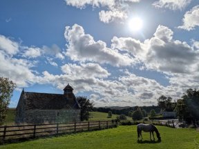 Saint Martin's Fifield Bavant