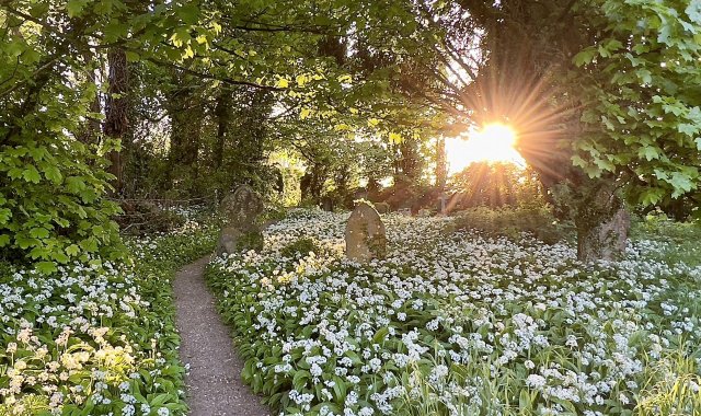 Saint Marys Alvediston, St Martins Fifield Bavant, Ebbesbourne Wake Church